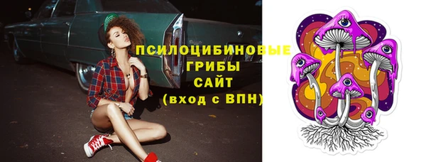 дурь Козельск