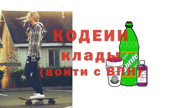индика Костерёво