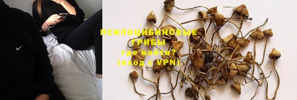 гидра Корсаков