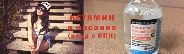 прущие грибы Кодинск