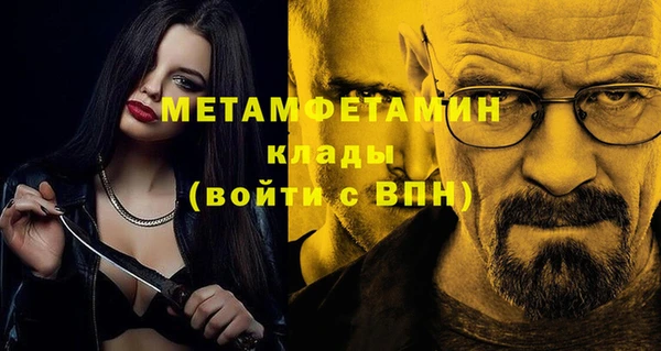индика Костерёво