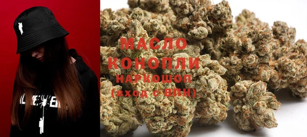крисы Козловка