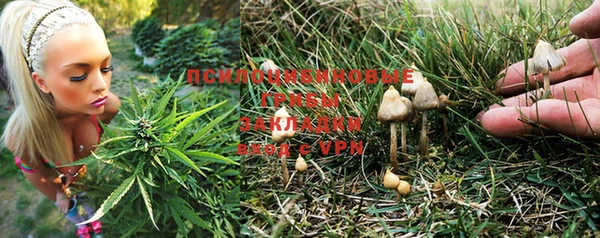 крисы Козловка