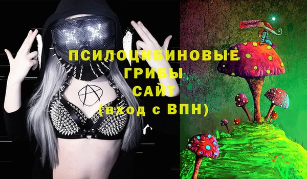 прущие грибы Кодинск