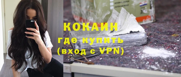 прущие грибы Кодинск