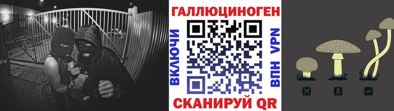 Галлюциногенные грибы Psilocybine cubensis  Архангельск 