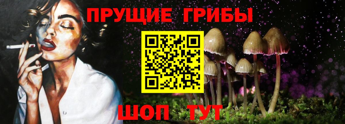 Галлюциногенные грибы GOLDEN TEACHER  Вход с VPN  Галлюциногенные грибы Psilocybine cubensis  Архангельск 